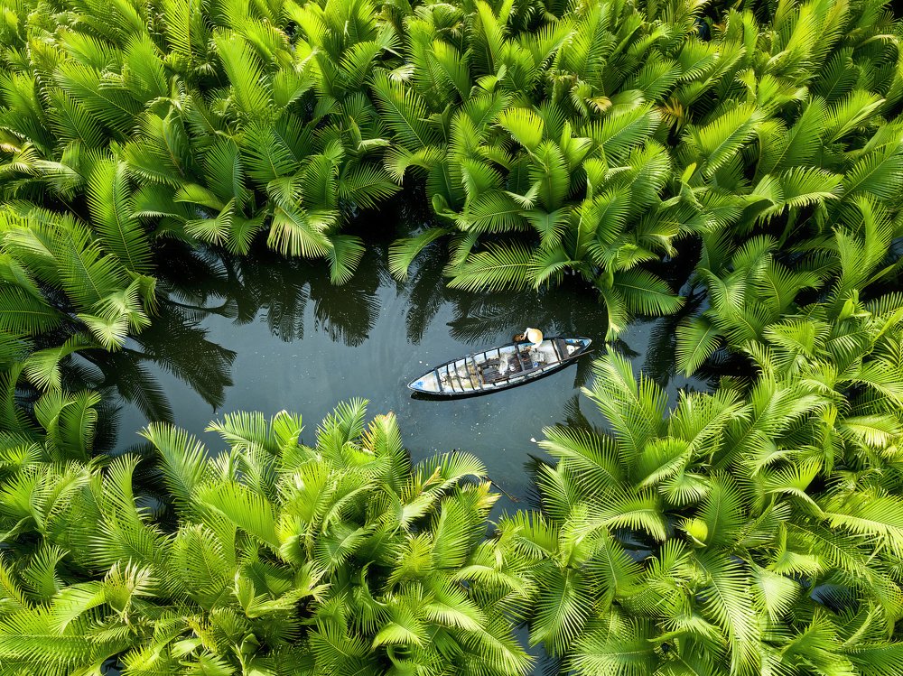 Photograph by Trung Luong