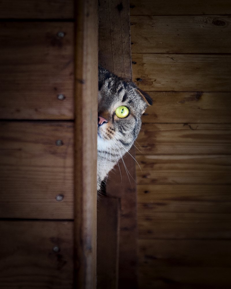 Photograph by Мария Дронова