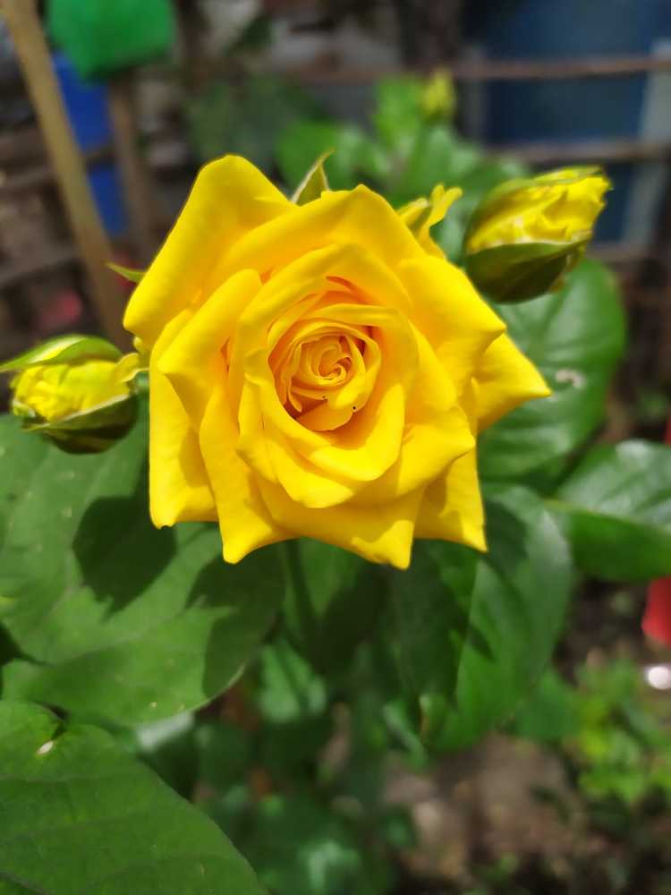 Photograph by Jaspreet Singh Dhillon