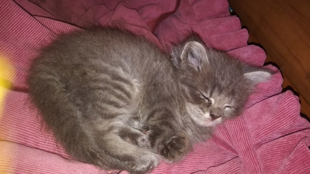 Photograph by Снежана Щербинина