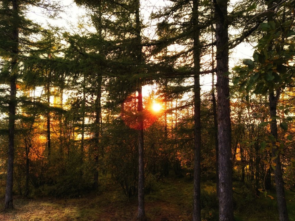 Photograph by Тарасенко Сергей