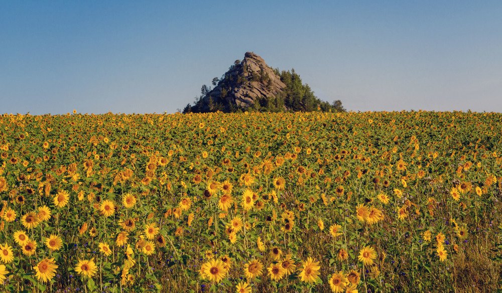 Один в поле воин