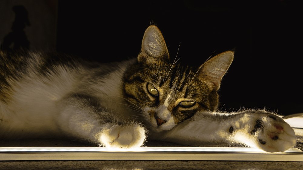 Photograph by Иван Хабаров