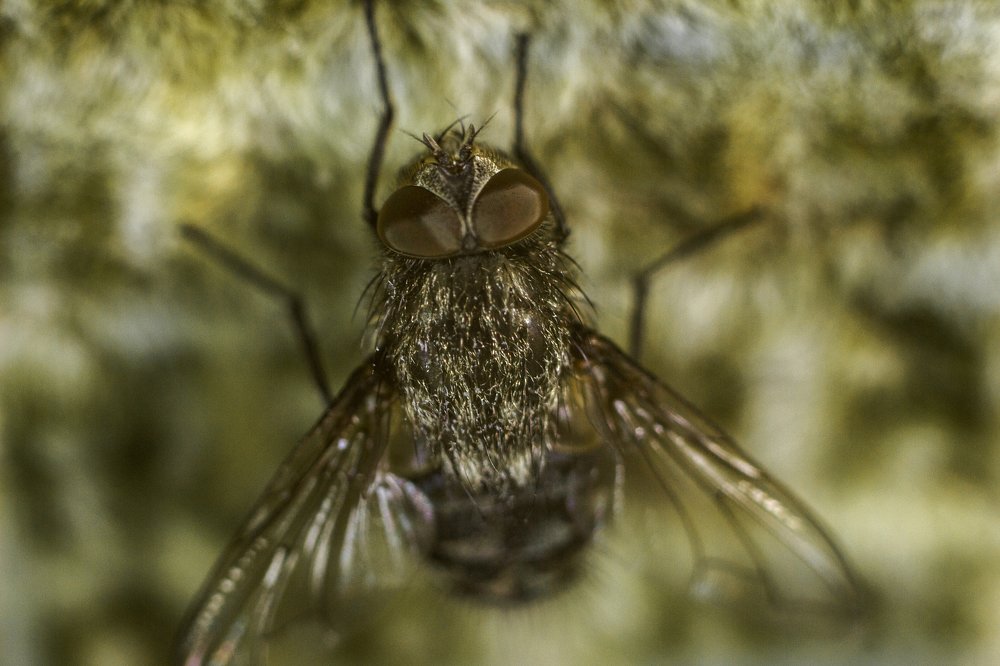 Photograph by Алексей Тимофеев