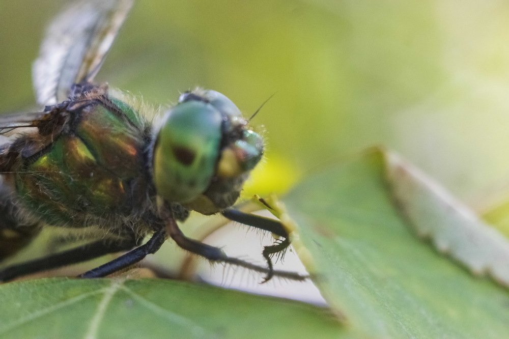 Photograph by миша