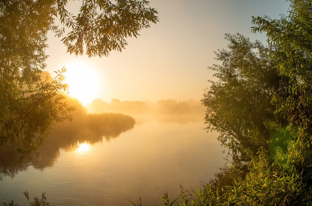 Photograph by Евгений Новицкий