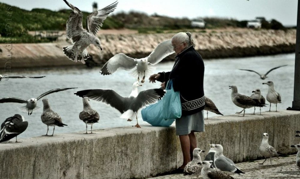 Photograph by Duda Dias