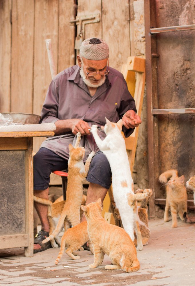 Photograph by Haidar Sabah