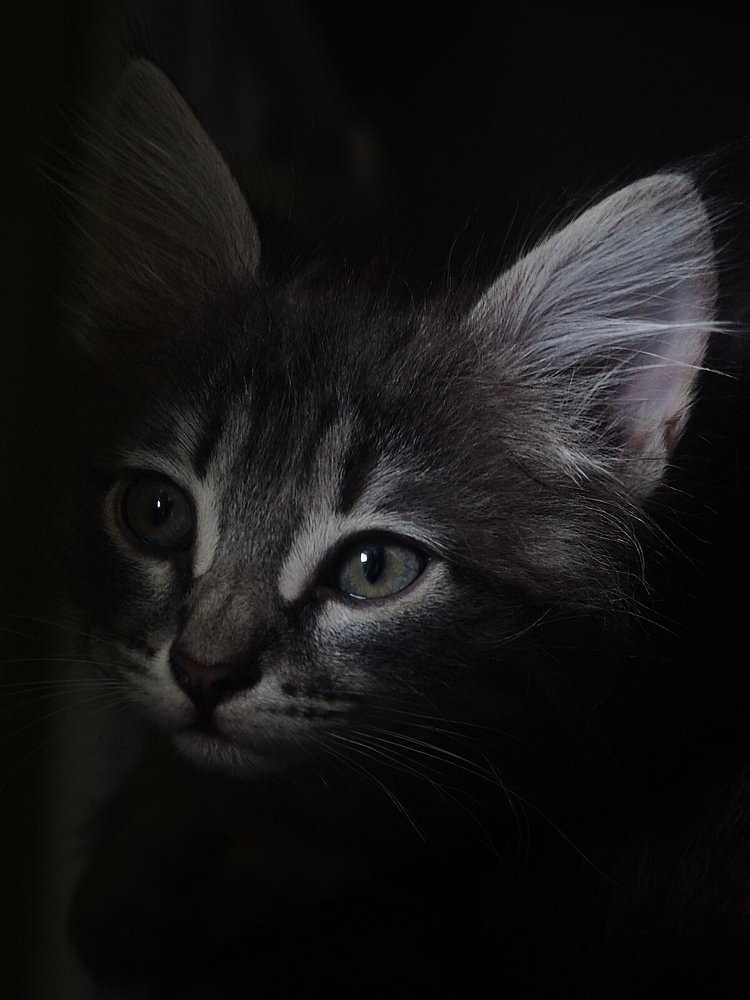 Возьми меня к себе