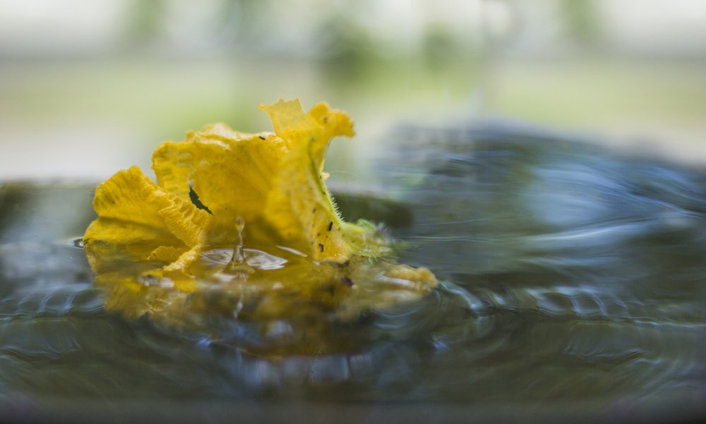 Photograph by Мария