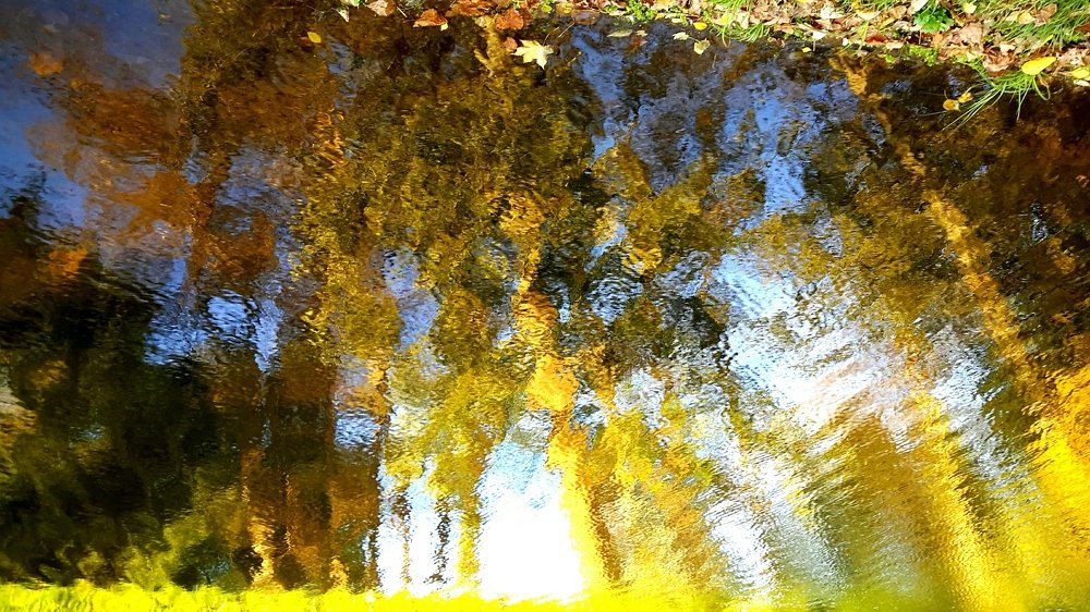 Photograph by Борис Каширин