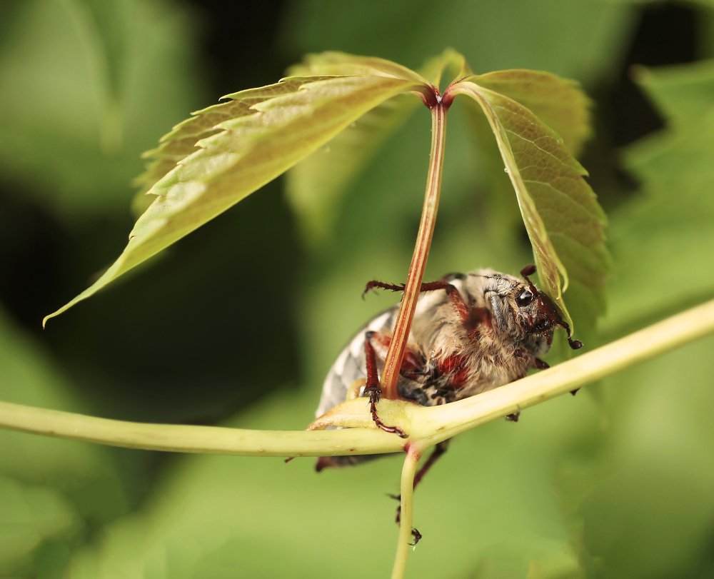 Photograph by Мария Загоревская
