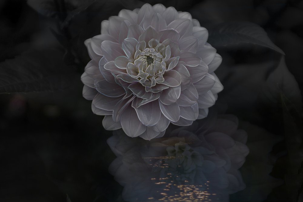 Ночная сказка.