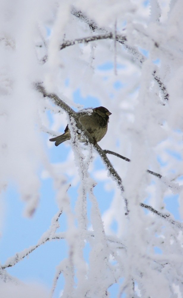 Photograph by Ольга Усманова