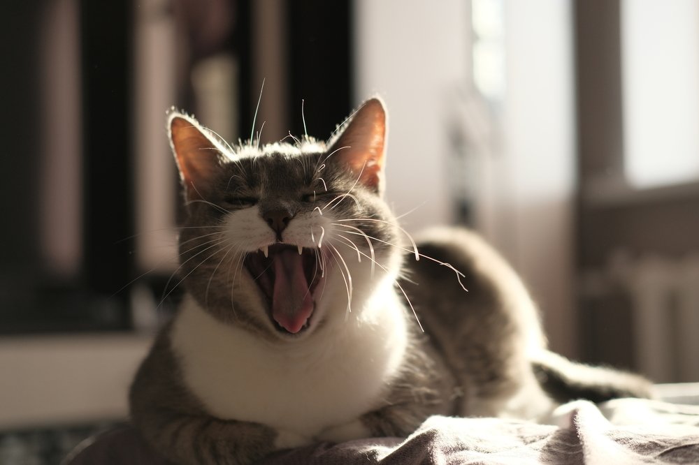 Photograph by Тихоничев Алексей Андреевич