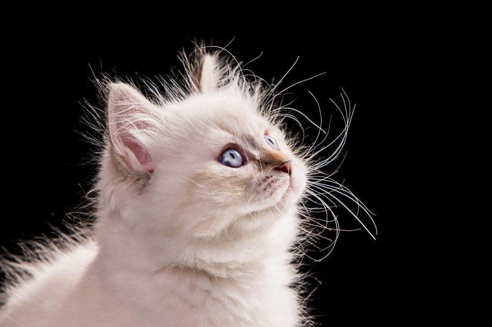 Photograph by Екатерина Быкова