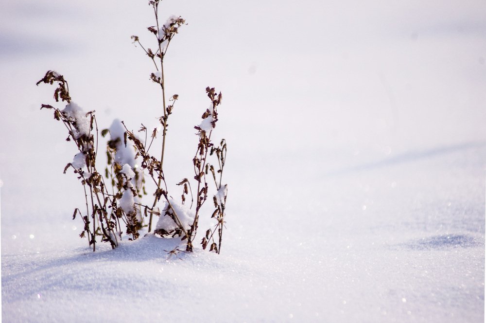 Photograph by Ольга Усманова
