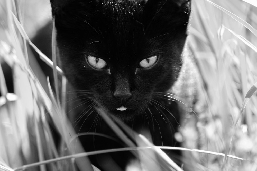 Photograph by Ольга Усманова