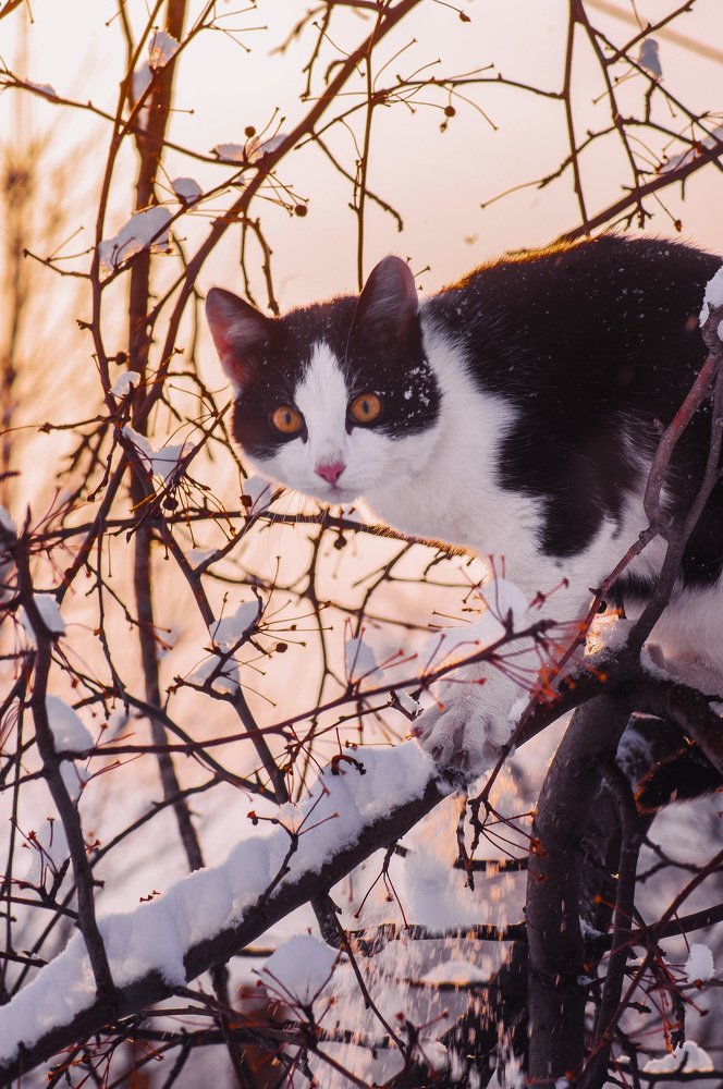 Photograph by Ольга Усманова