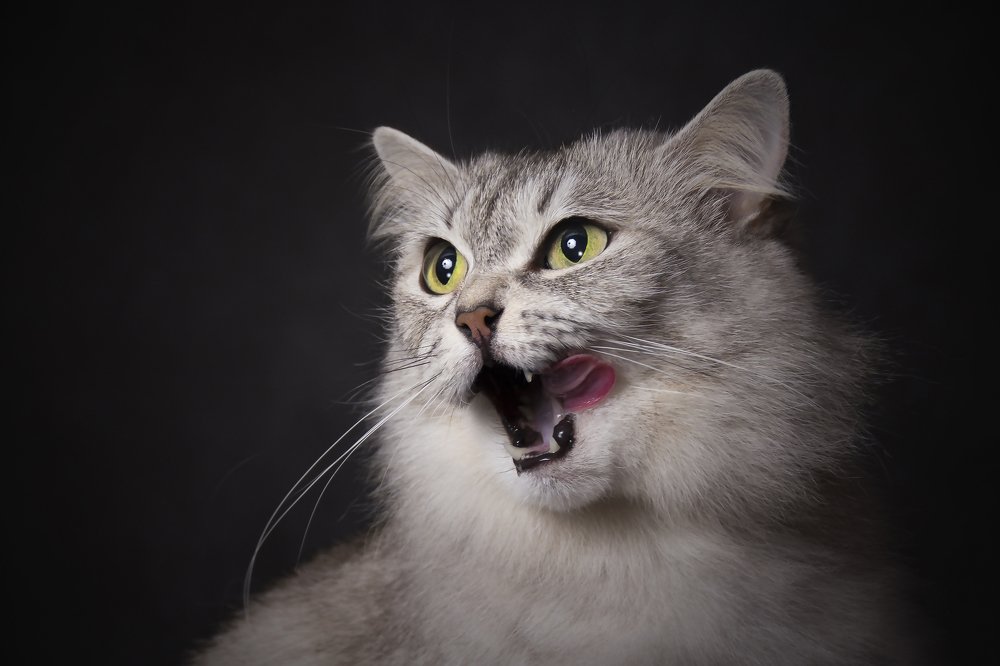 Photograph by Волгина Елена