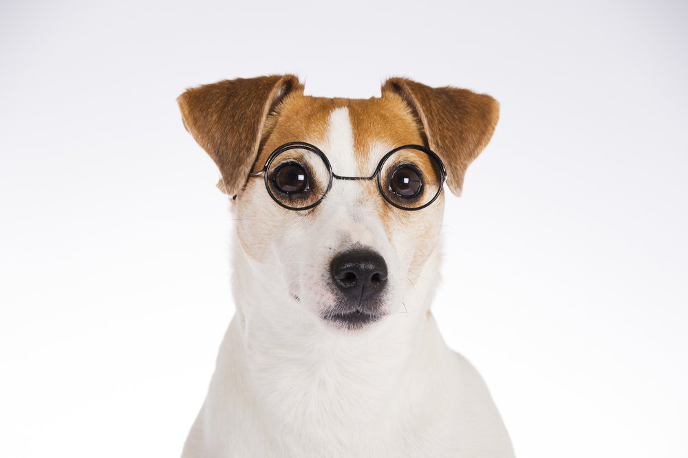 Photograph by Волгина Елена