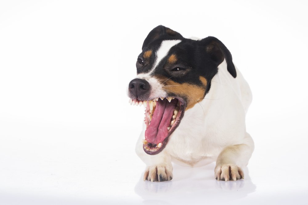 Photograph by Волгина Елена