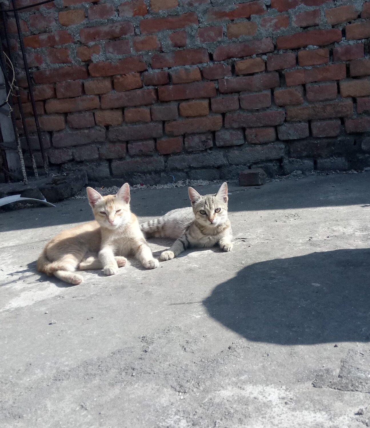 Photo #3545318