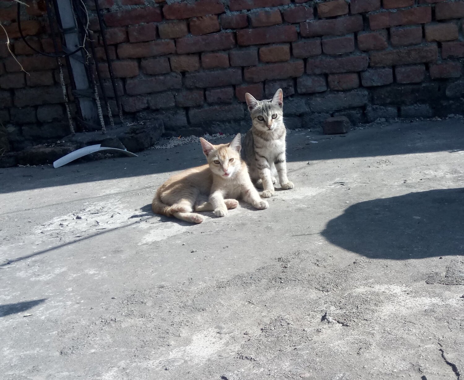 Photo #3545340