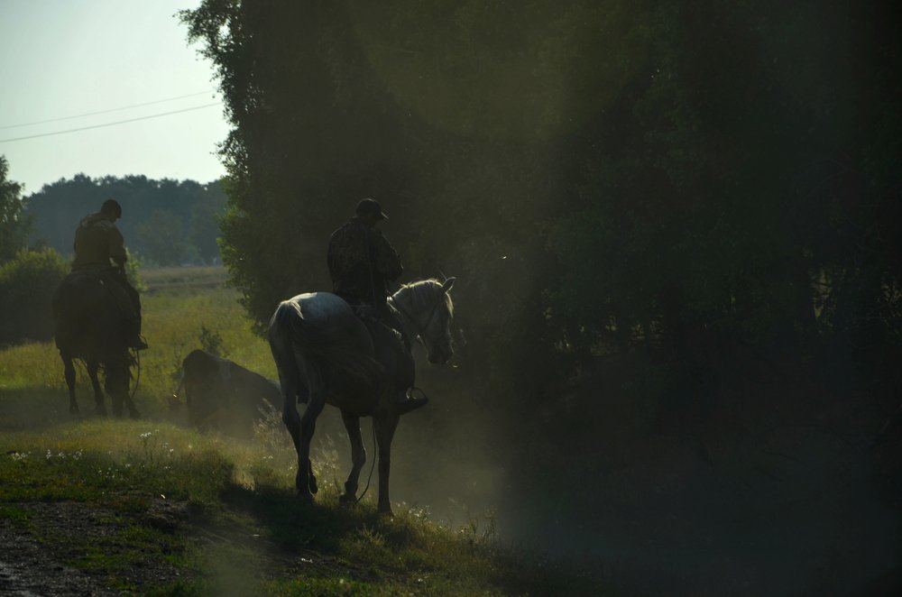 Photograph by Юрий Шмидт