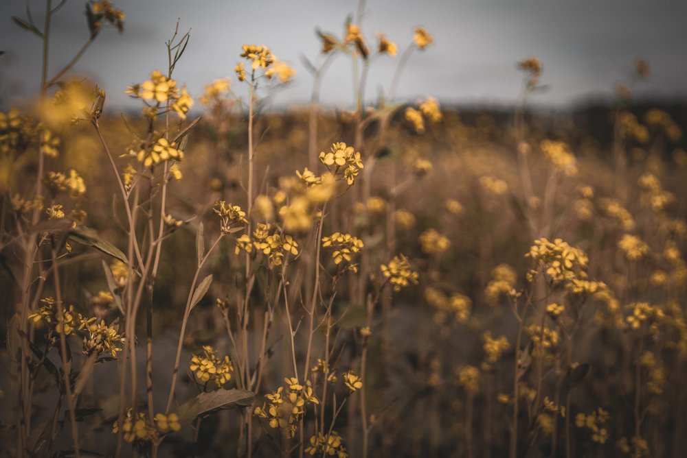 Photograph by Василиса Билуши