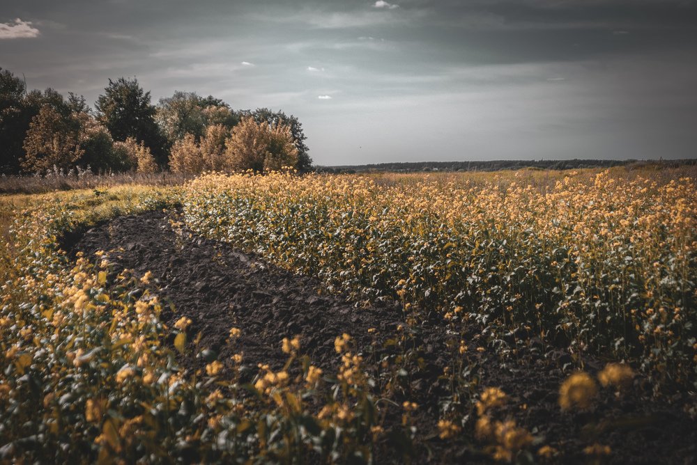 Photograph by Василиса Билуши