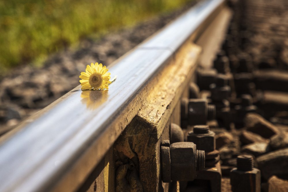 Flower on track