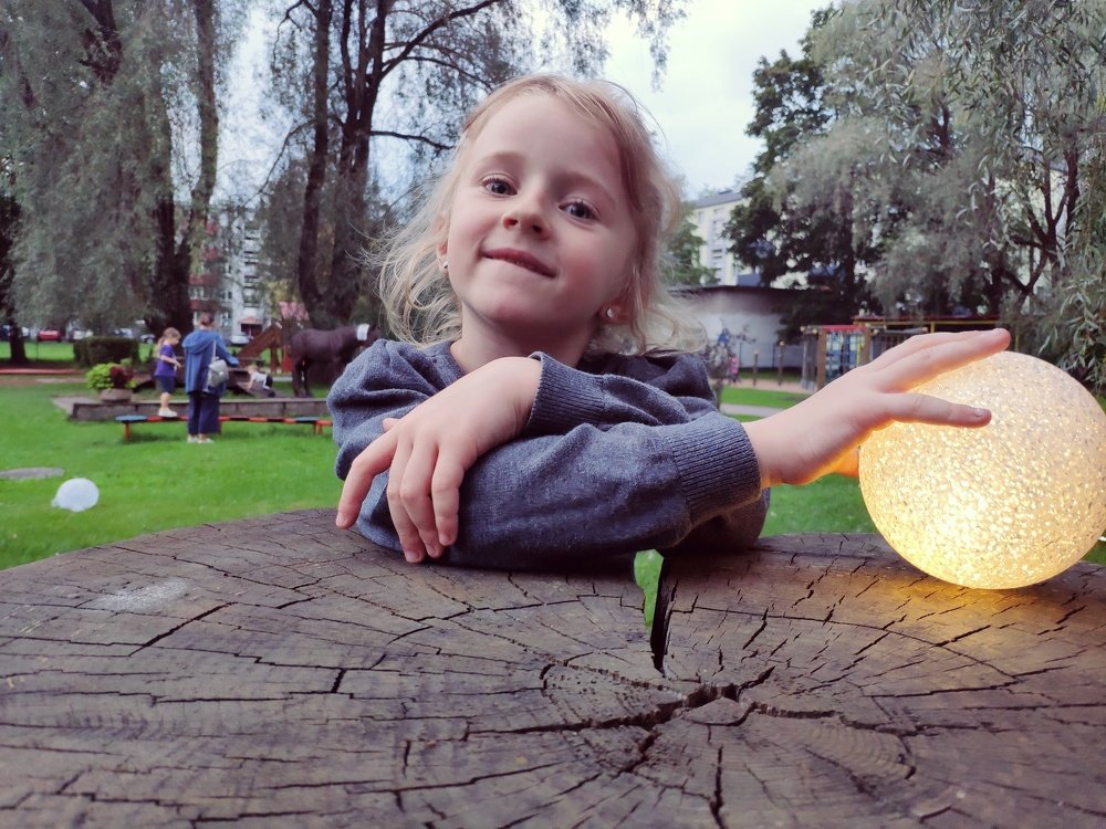 Photo #3545437