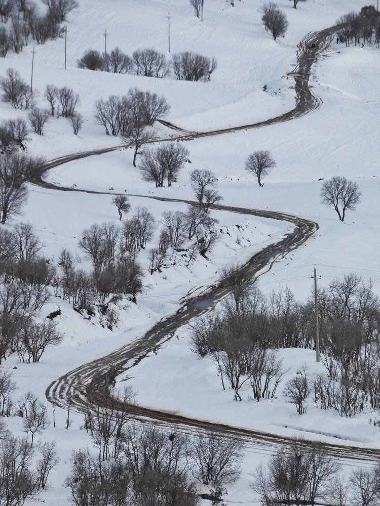 Photograph by pejman rostami pejmanjaf