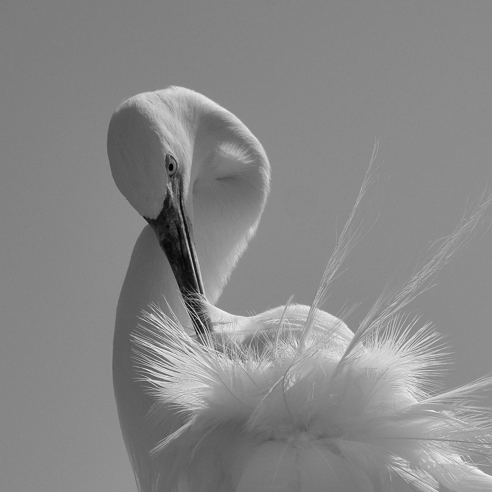 Photograph by Nikolai Savin