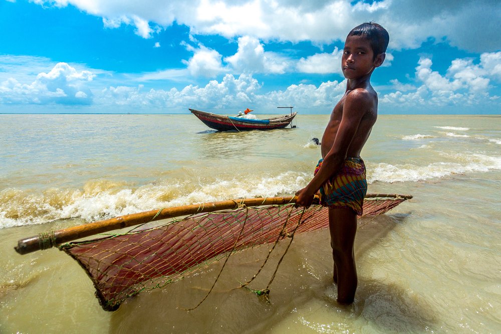 Shrimp larvae (fry) Collector.