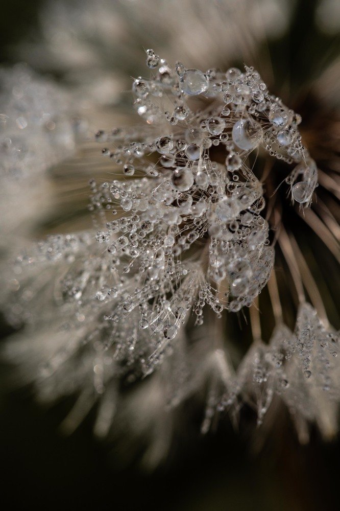 Хрустальные бусины