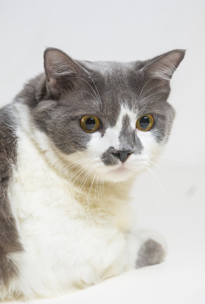 Photograph by Jahangir Alam Onuchcha