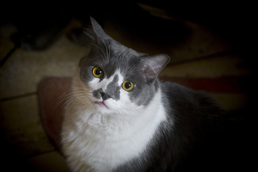 Photograph by Jahangir Alam Onuchcha