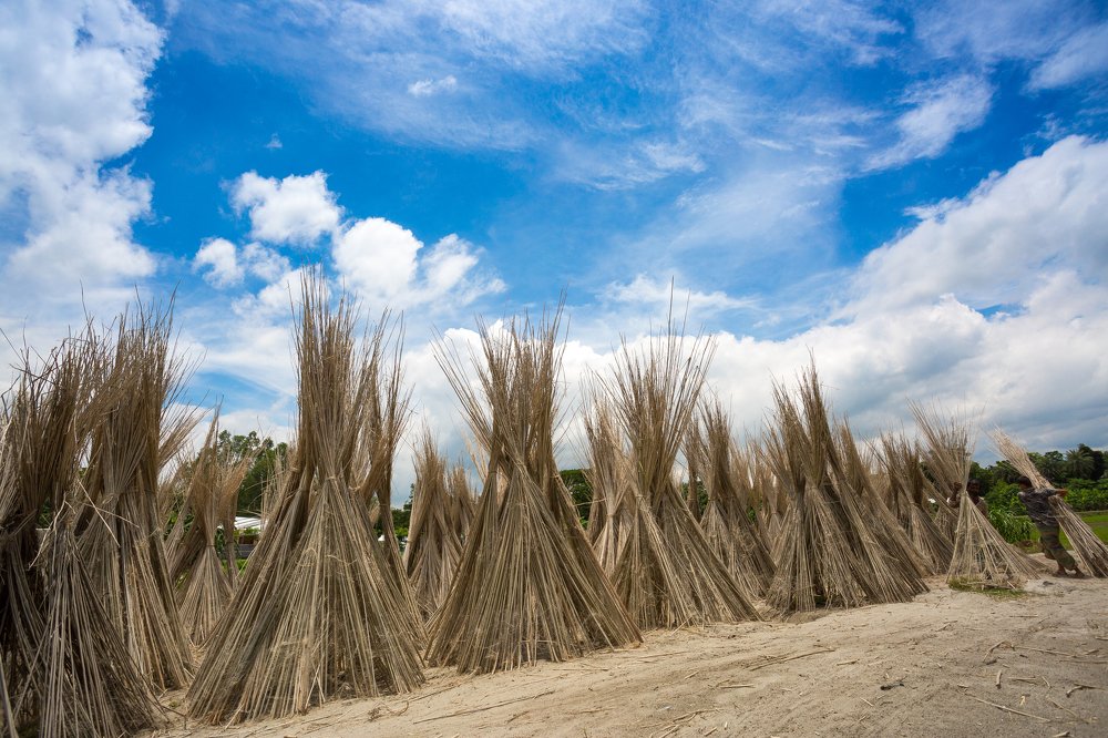 Photograph by Jahangir Alam Onuchcha