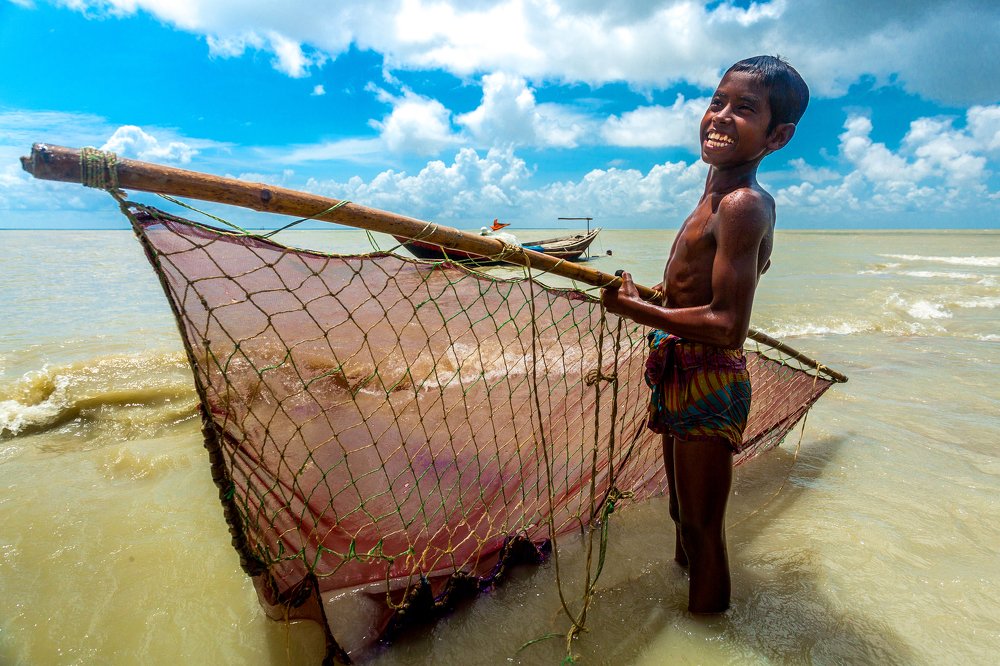 Shrimp larvae (fry) Collector.