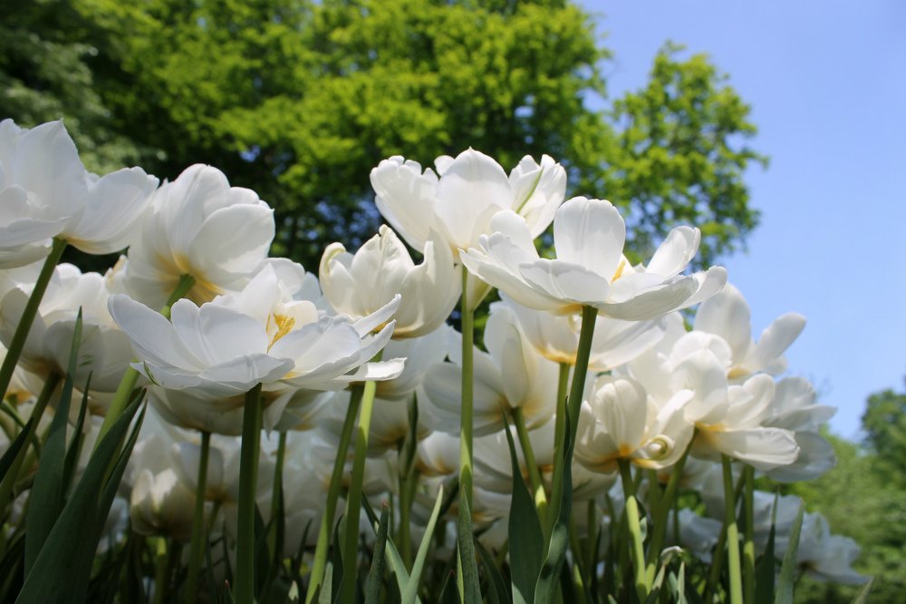 Photograph by Irina Radzinskaya