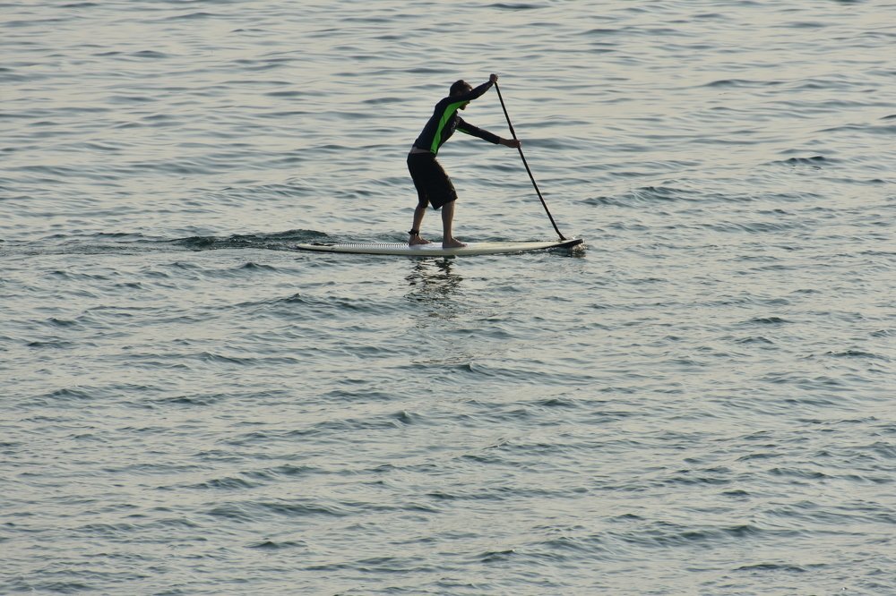 Surfing at sea