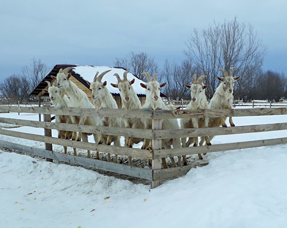 Фотография автора Мария