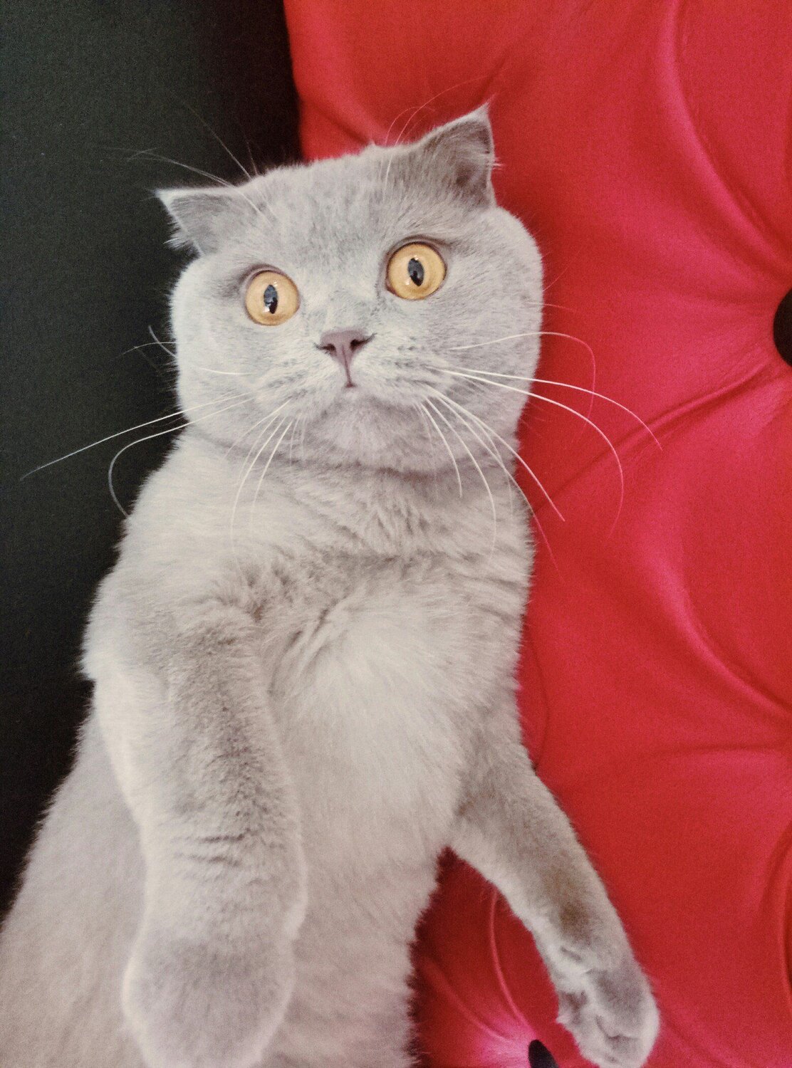 Photo #3545759
