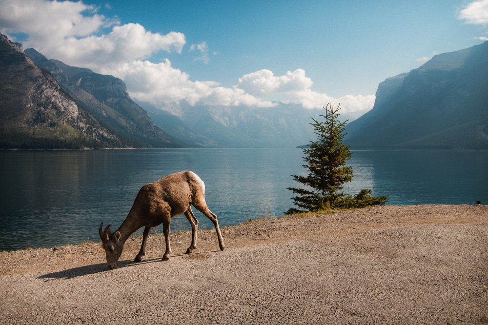 Photograph by Conrad Attard