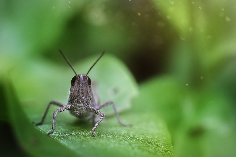 Photograph by Ира Никина