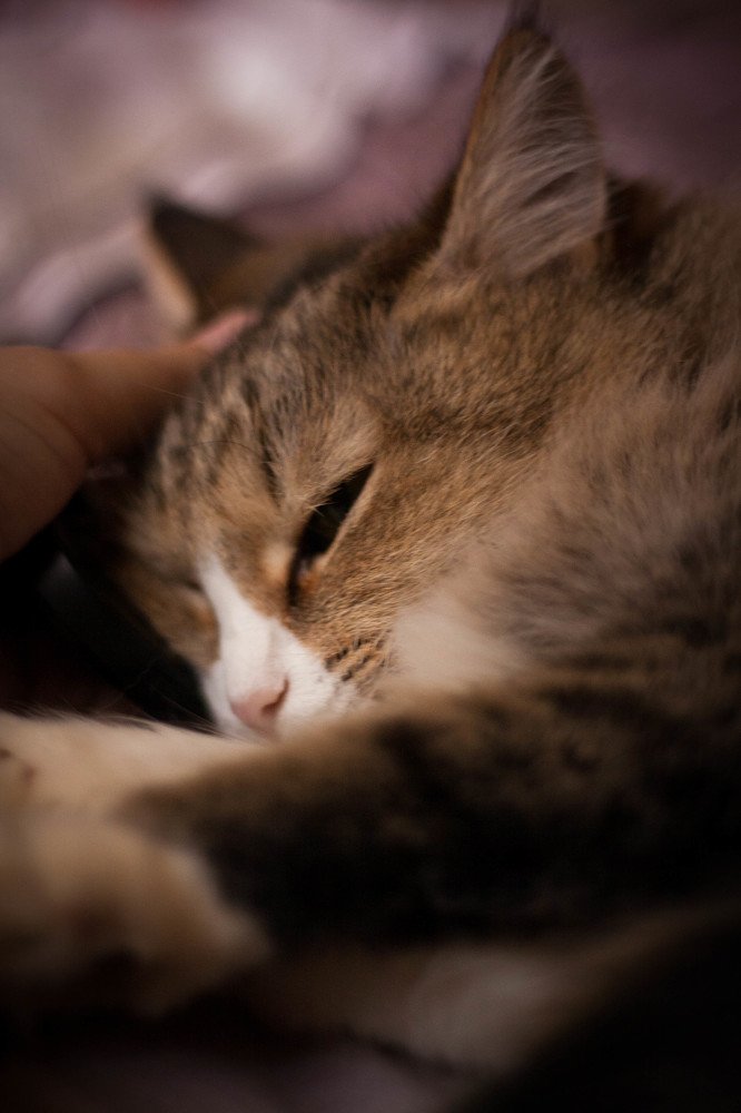 Photograph by Таня Короткова