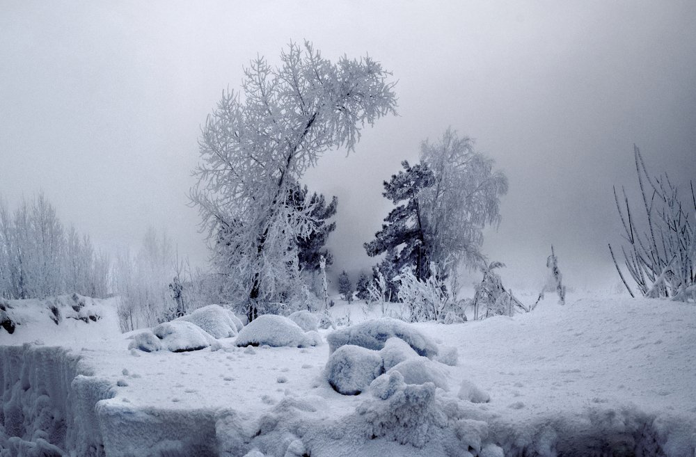 Photograph by Светлана Крат