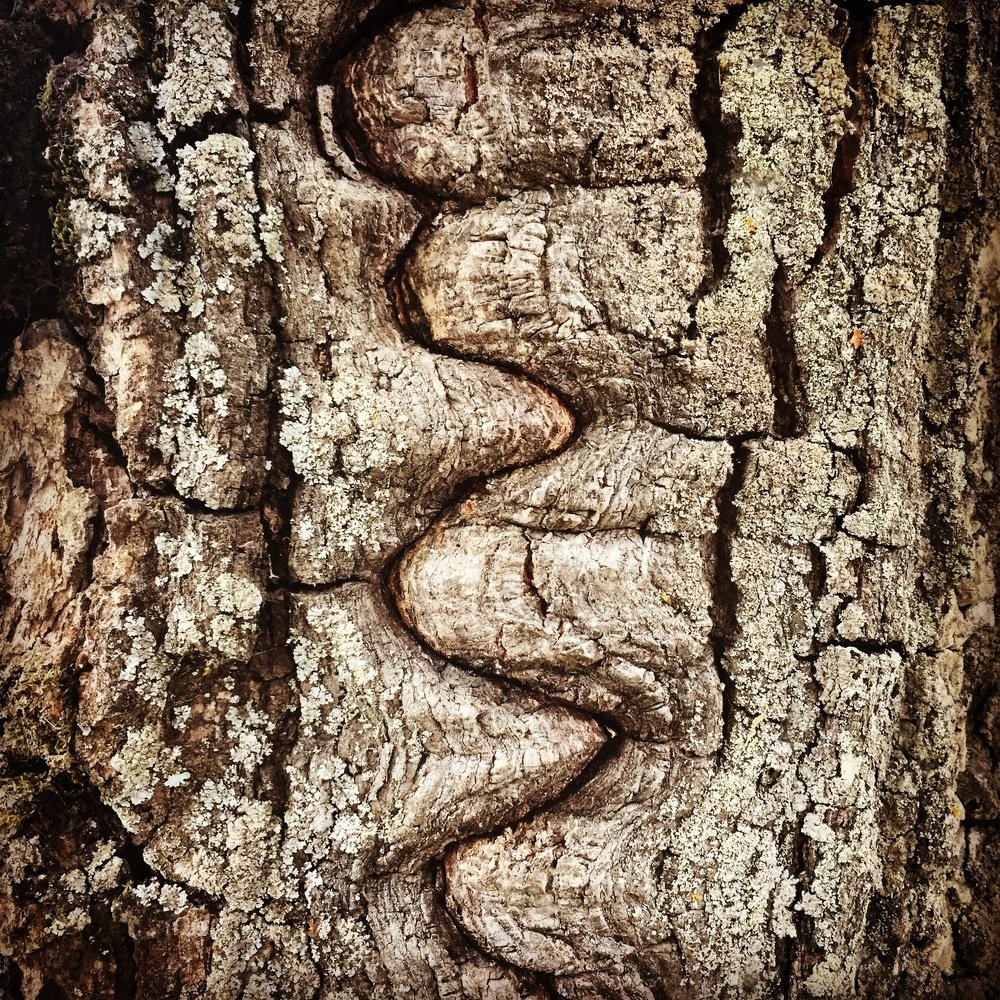 Photograph by Александр Машкарин